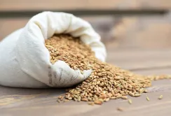 Польща не підтримує повернення довоєнних квот на імпорт агропродукції з України