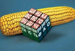 "КВС-Україна": характеристики гібридів, які здатні забезпечити високі врожаї
