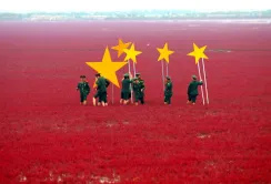 Мегазлиття Syngenta і ChemChina може зробити Китай лідером з виробництва ГМО