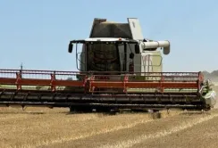 На Київщині зібрали понад 1 млн тонн зерна нового врожаю