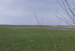 Посівна на Волині: лебеді на полях та брак кадрів