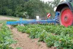 Новий штригель від LEMKEN сховає всі нерівності