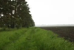 В Донецькій області візьмуть на облік всі землі та лісосмуги