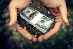 Лібералізація ринку землі може забезпечити за 10 років 100 млрд приросту до ВВП