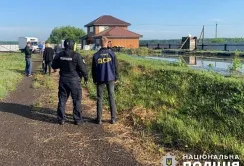 «Липові» горіхи: фермери обманули державу на 6,6 млн грн
