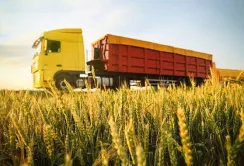 Логістика агропродукції: зниження експорту в грудні
