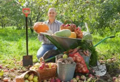 Скільки в Україні особистих селянських господарств та яка їх спеціалізація?