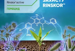 Corteva Agriscience представляє новий післясходовий гербіцид Лортама® для захисту кукурудзи