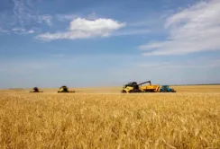 На Львівщині намолотили перший мільйон тонн зерна