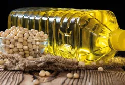 Львівщина збільшує вирощування олійних культур