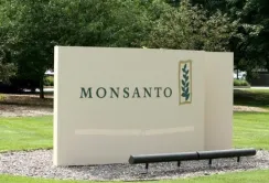 ЕРА схвалила гербіцид Harness MAX компанії Monsanto