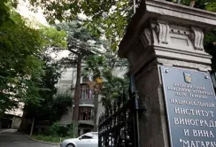 У Криму окупанти передали майно «Магарача» і НДІ сільського господарства Кремлю