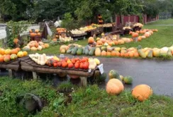 Фермер зі Львівщини продає свою продукцію «на довірі»