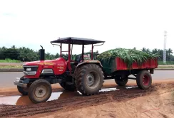 Корейці модернізуватимуть українську агротехніку
