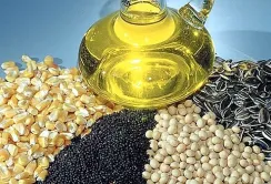 "Кернел", "Астарта" і "Оліяр" стали лідерами у переробці олійних