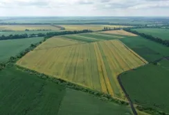 Кабмін схвалив пілотний проєкт з масової оцінки земель