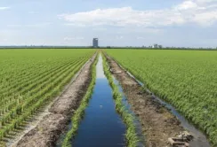 На Черкащині створюють першу в Україні організацію водокористувачів