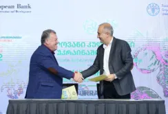 Виробники горіхів України та Грузії підписали Меморандум про співпрацю