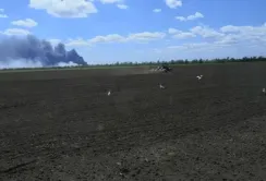 Міни, дефіцит вологи та ціни на добрива не зупиняють миколаївських фермерів