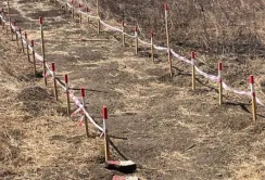 Власники паїв на Миколаївщині чекають на виплати за оренду за минулий рік