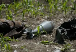 Розмінуванням сільськогосподарських земель займеться спеціально створена міжвідомча група