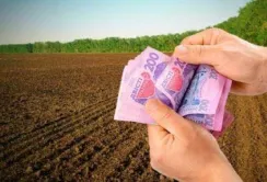 Аграріям, що постраждали внаслідок війни, доведеться сплачувати мінімальне податкове зобов'язання