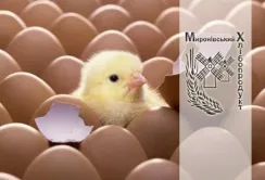 «Миронівський хлібопродукт» продав активи в Криму за $77,5 млн