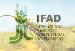 Україну прийняли до Міжнародного фонду сільськогосподарського розвитку (IFAD)