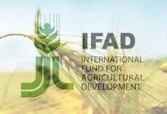 Україна приєднається до Міжнародного фонду сільськогосподарського розвитку