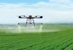 Доля фальсификату на українському ринку ЗЗР - 20-30%, - Держпродспоживслужба