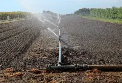 Україна потребує модернізації системи зрошення через зміну клімату і воєнні дії, – Тарас Висоцький