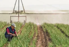 USAID інвестуватиме понад 70 млн грн в модернізацію зрошування в Україні