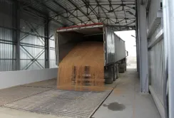 Trans Cargo Terminal підвищила на 100% експортні можливості