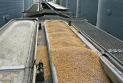 Молдова знизить вартість транзиту українського зерна на 25%