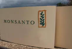 Monsanto захищає dicamba після заборони в Міссурі