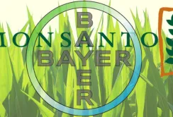 В Індії широко обговорюється альянс Monsanto і Bayer