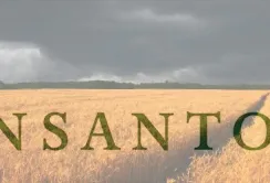 Monsanto збільшує поля в Мексиці на 1 млн га