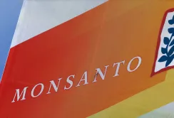 Науковий центр Monsanto в Італії постраждав від нападу еко-активістів