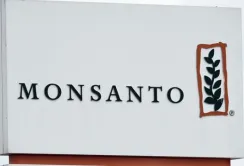 Monsanto виступила на захист своїх досліджень по ГМО