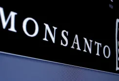 Monsanto купує в Україні насіннєвий завод кукурудзи "Ерідона"