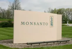 Використання протруйників зростає через недотримання сівозмін, — Monsanto