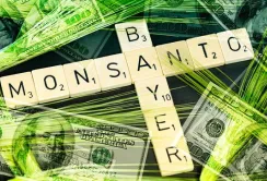 Бізнес-угода Bayer і Monsanto прискорить впровадження інновацій