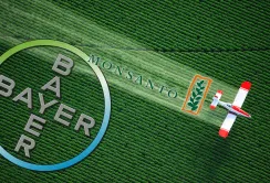 У Німеччині сумніваються в доцільності злиття Monsanto з Bayer