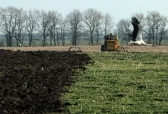 Як 16-річний мораторій вплинув на стан грунтів та екології?
