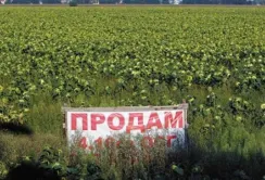 В Україні розроблять закон, щоб скасувати мораторій на землю