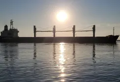 За 11 місяців українським морським коридором експортували понад 40 млн т зернових