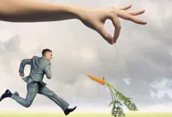 Аграріїв можуть демотивувати вирощувати якісну пшеницю, — "Нібулон"