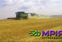 У "Мрії" розчаровані врожаєм-2016. Підвели озимий ріпак, соя та кукурудза