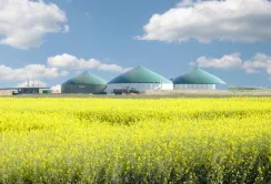 Порошенко підписав закон про скасування реєстрації виробників біогазу