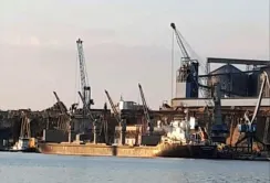 За серпень через Севастополь вивезли більше 100 тис. тонн українського зерна